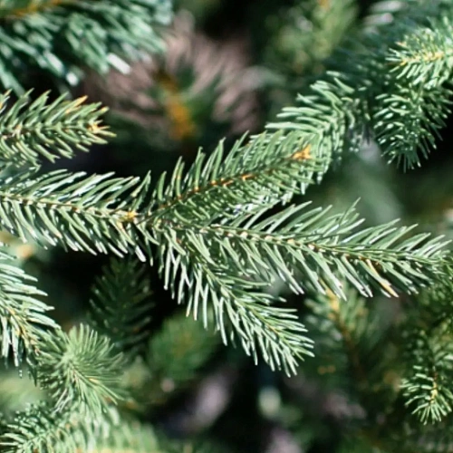 Финская искусственная интерьерная елка, высота 3 м, цвет Зеленый